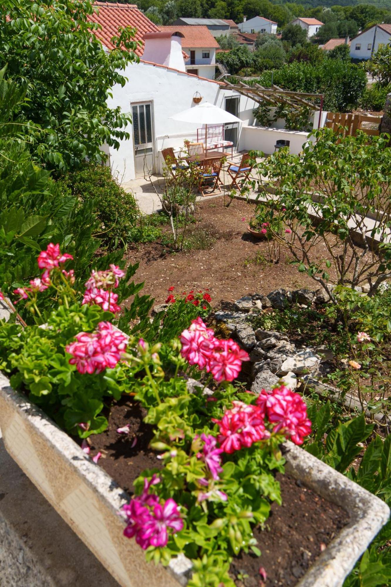 Casa Alba - Alvados Villa Eksteriør bilde